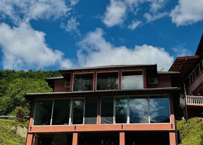 Villa Drinska Oaza *